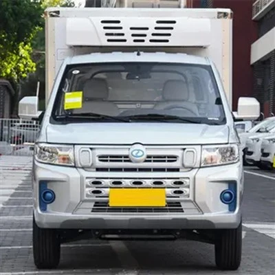 Ruichi EC71L kleiner Gefrierwagen